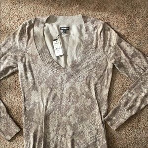 Express small v-neck sweater
